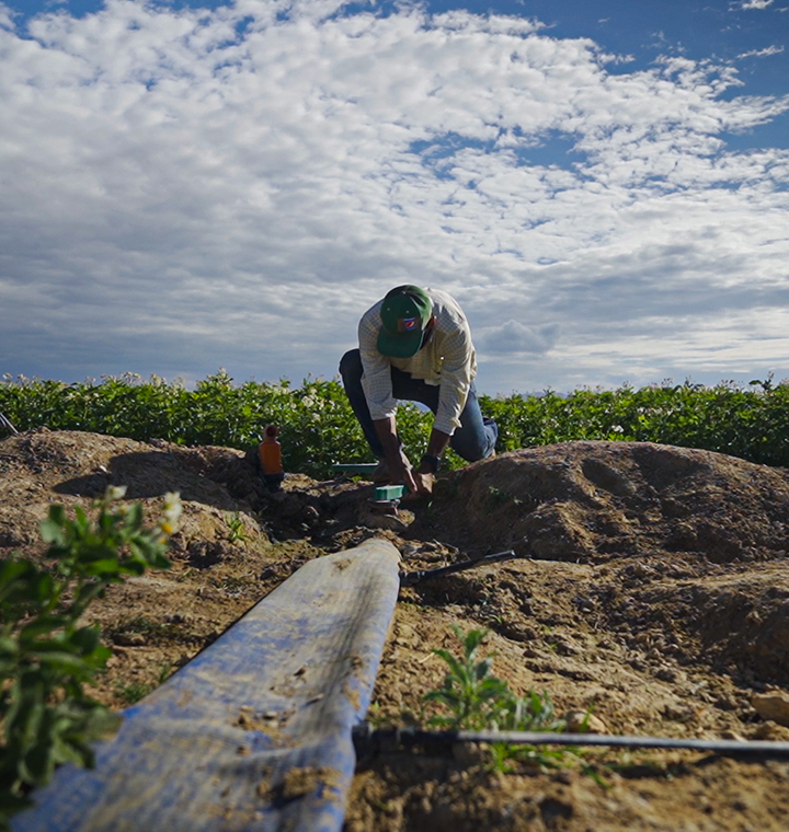 Día de la Tierra: Impulsamos agricultura regenerativa y energía limpia