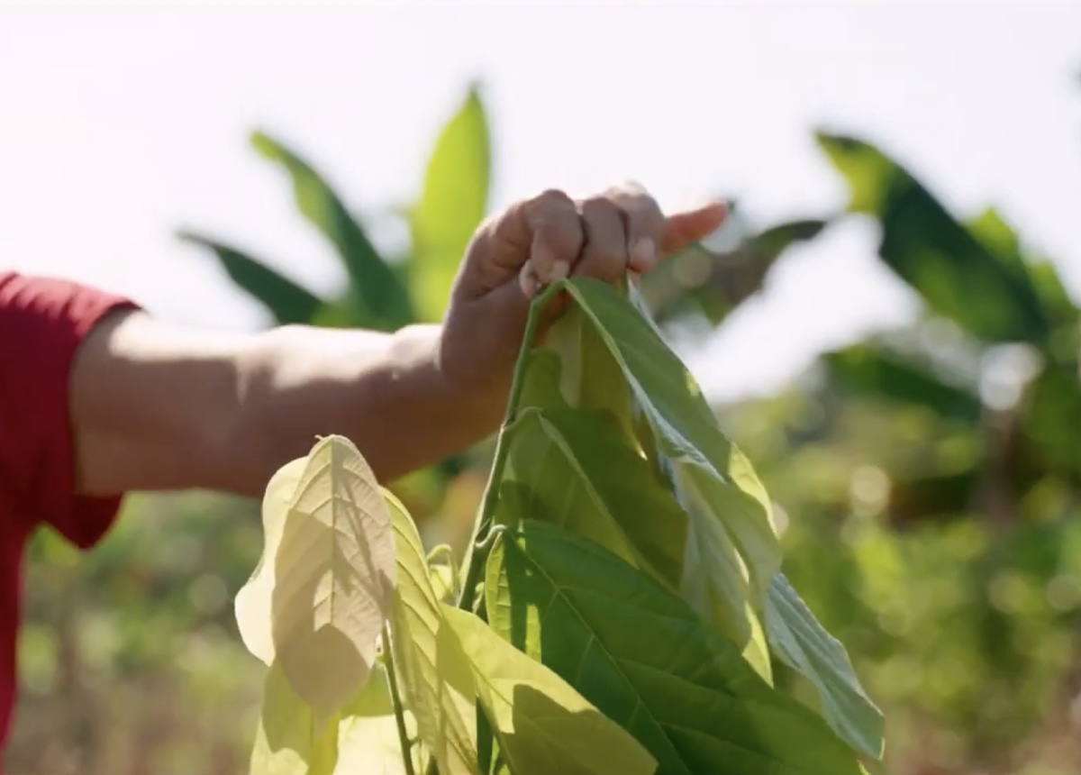 https://www.pepsico.com.mx/images/mexicolibraries/1_news/pepsico-mexico-beneficiarias-agrovita.png