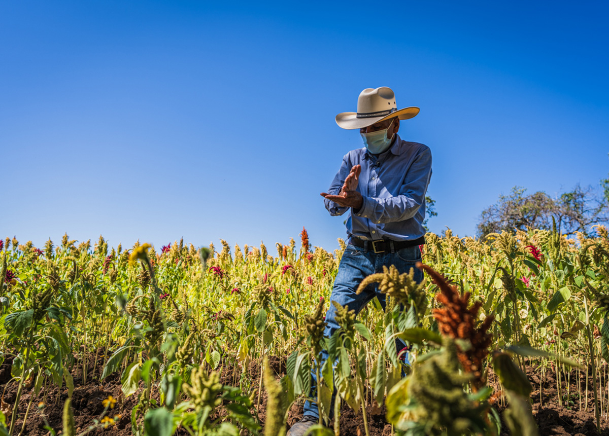 https://www.pepsico.com.mx/images/mexicolibraries/1_news/pepsico-mexico-seguridad-alimentaria.jpeg