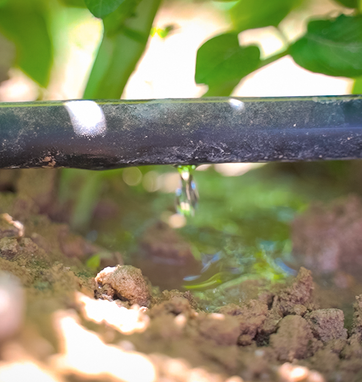 Todo comienza con el agua