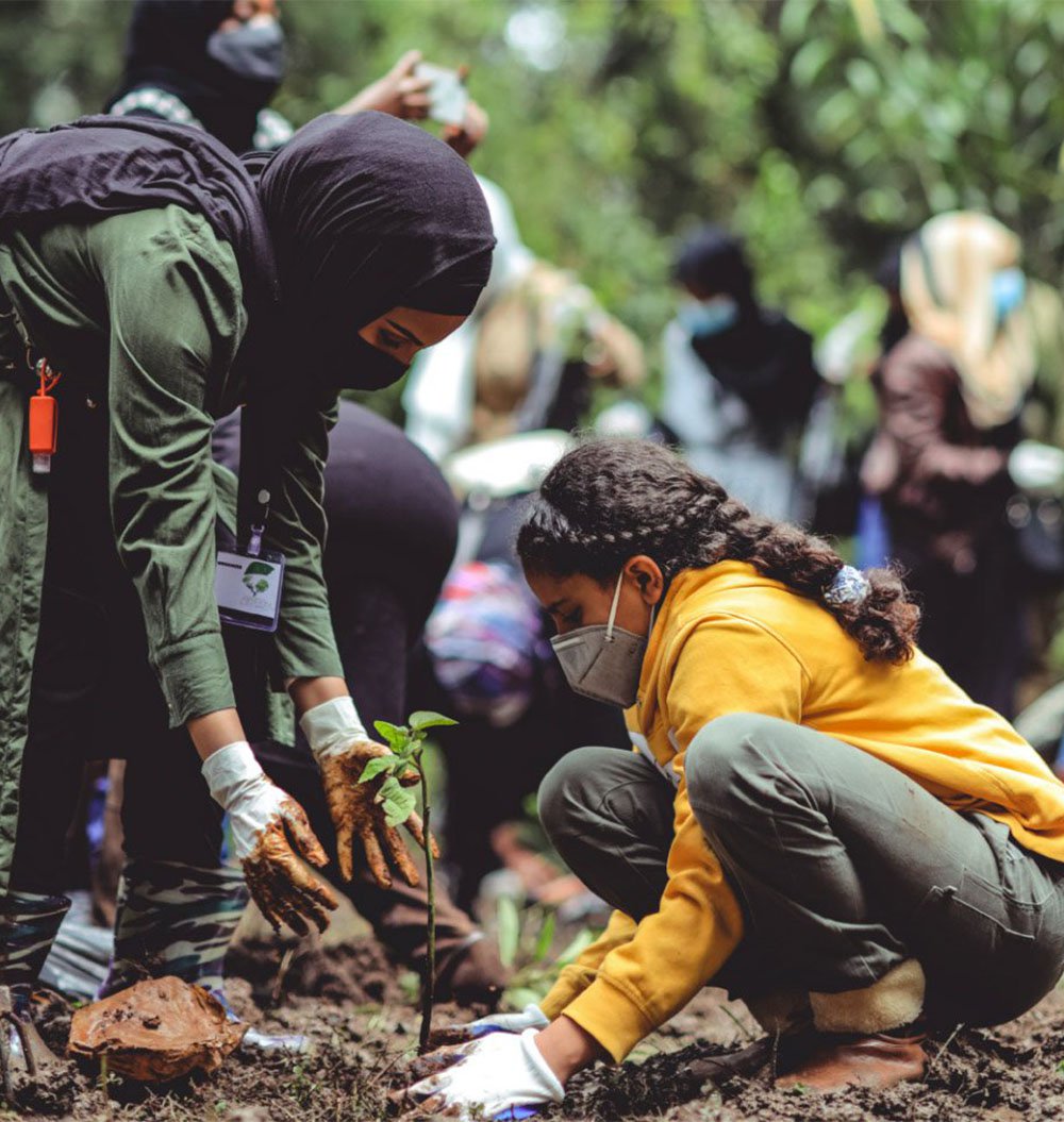 Two women work together to plant a tree