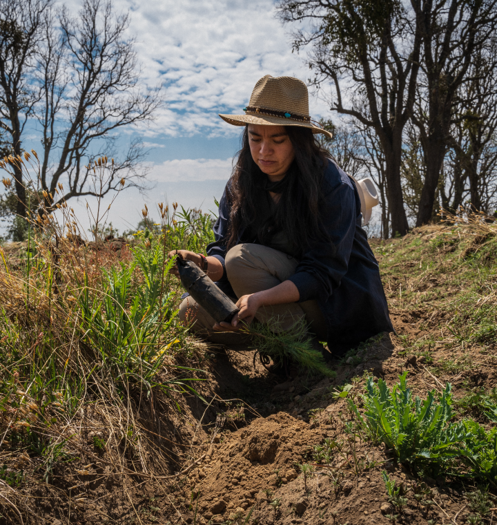 Woman planting