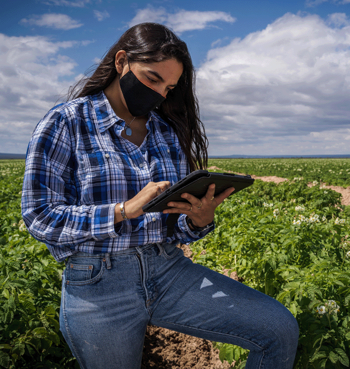 Woman using tablet in a farming field
